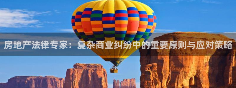 新宝股东瞧听2 5 5：房地产法律专家：复杂商业纠纷中的重要