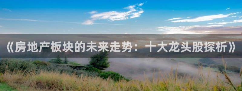 新宝骏rc5W：《房地产板块的未来走势：十大龙头股探析》