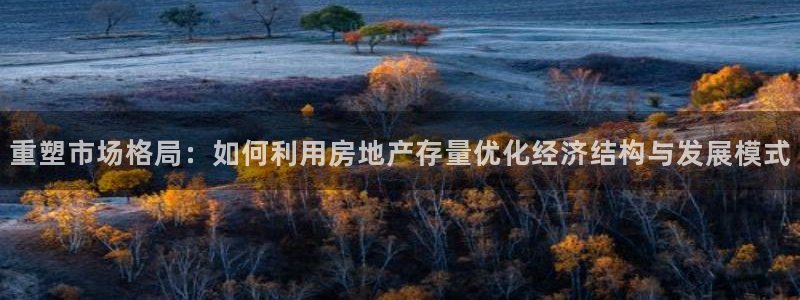 新宝5娱乐招商：重塑市场格局：如何利用房地产存量优化经济结构