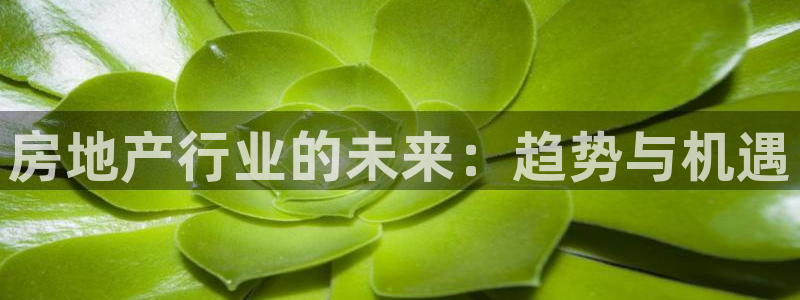 新宝5户端：房地产行业的未来：趋势与机遇