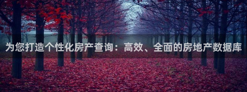 新宝5 888：为您打造个性化房产查询：高效、全面的房地产数