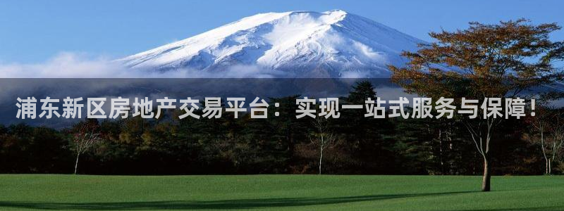 新宝5尤74OOO5：浦东新区房地产交易平台：实现一站式服务