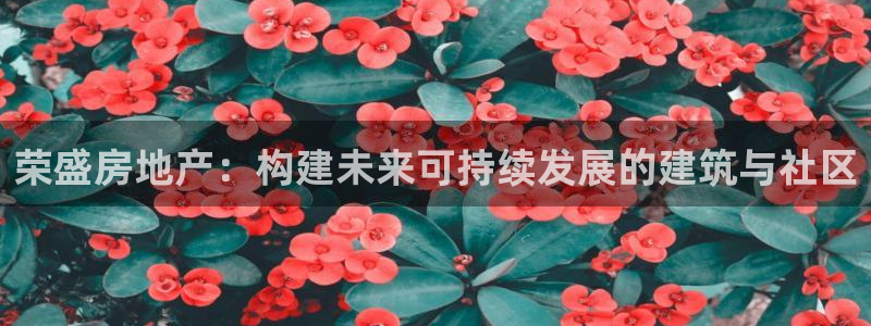 新宝5飞355051：荣盛房地产：构建未来可持续发展的建筑与