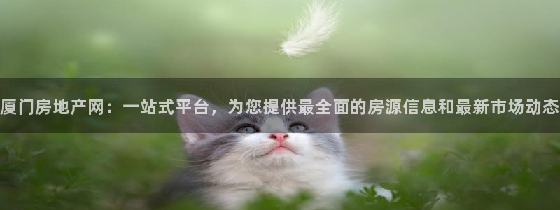 新宝5策略：厦门房地产网：一站式平台，为您提供最全面的房源信