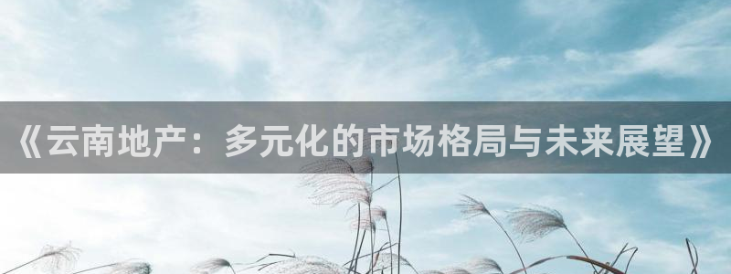 新宝5吕74OOO5：《云南地产：多元化的市场格局与未来展望