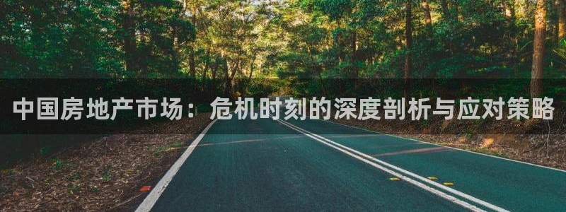 新宝cR一5：中国房地产市场：危机时刻的深度剖析与应对策略