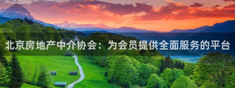新宝5是谁的
