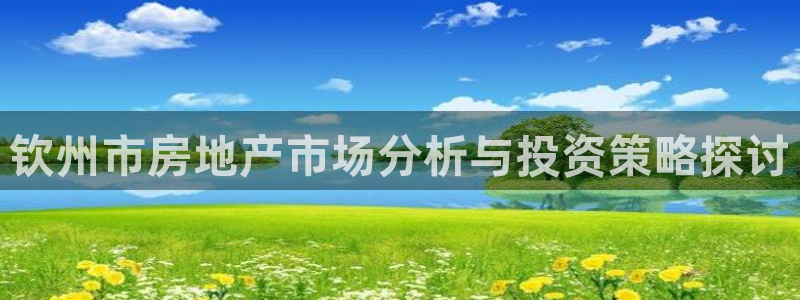 新宝5台卡：钦州市房地产市场分析与投资策略探讨