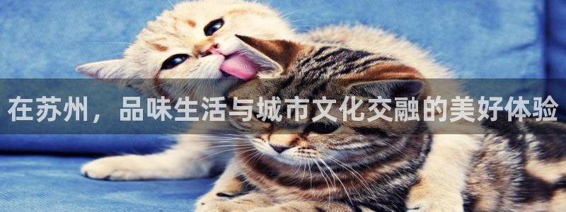 新宝5户端：在苏州，品味生活与城市文化交融的美好体验