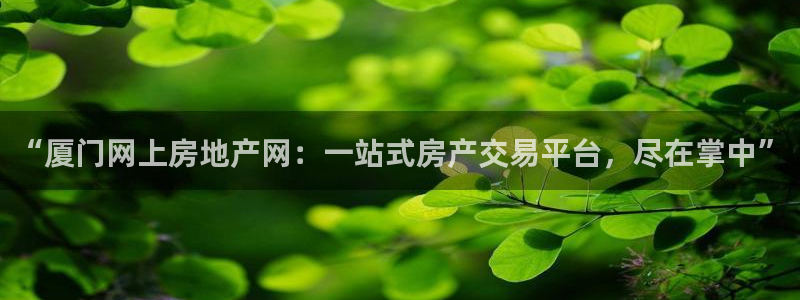 新宝5公司：“厦门网上房地产网：一站式房产交易平台，尽在掌中
