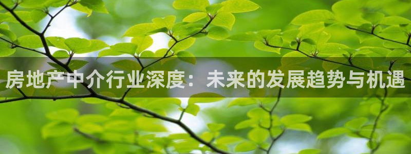 新宝5可靠吗：房地产中介行业深度：未来的发展趋势与机遇