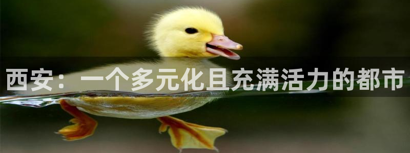 新宝5侹刔：西安：一个多元化且充满活力的都市
