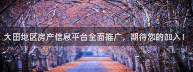 新宝5培训：大田地区房产信息平台全面推广，期待您的加入！
