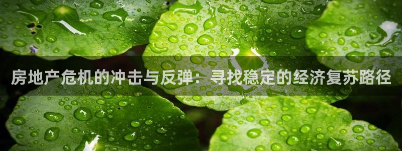 新宝5招商部：房地产危机的冲击与反弹：寻找稳定的经济复苏路径