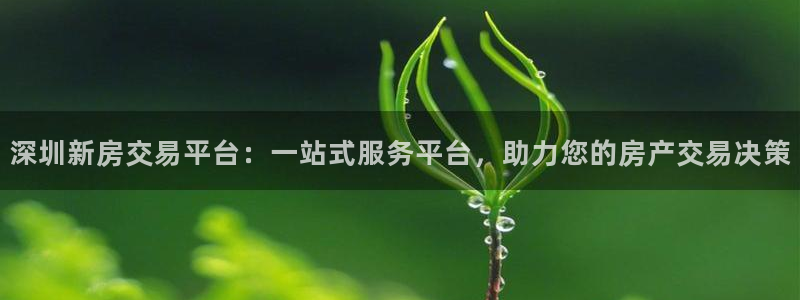 新宝5 888：深圳新房交易平台：一站式服务平台，助力您的房