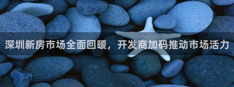 新宝5导师：深圳新房市场全面回暖，开发商加码推动市场活力