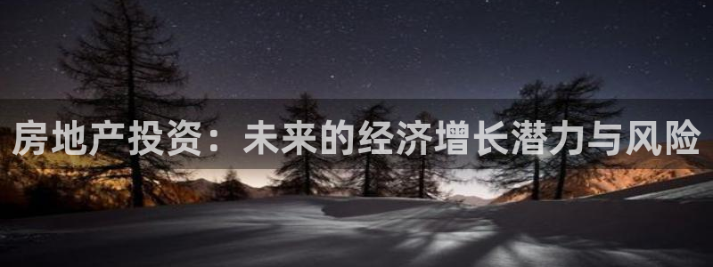 新宝娱乐5：房地产投资：未来的经济增长潜力与风险