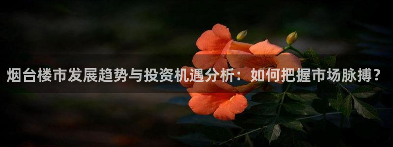 新宝5苹果手机下载