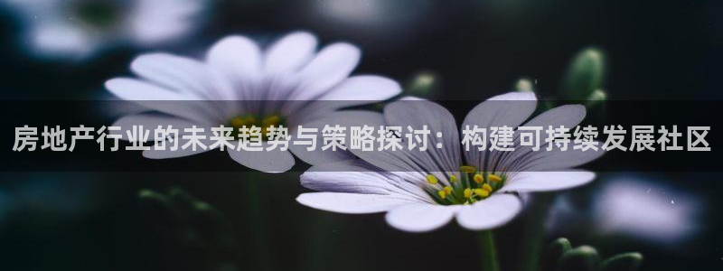 新宝5骗术：房地产行业的未来趋势与策略探讨：构建可持续发展社