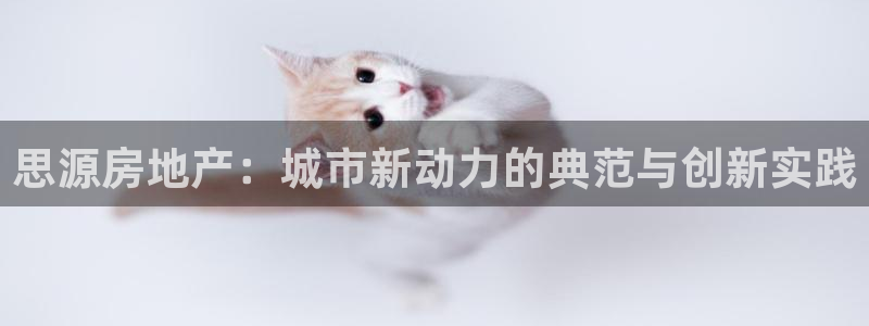 新宝5登陆