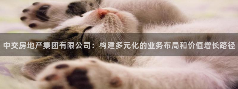 新宝5软件下载：中交房地产集团有限公司：构建多元化的业务布局