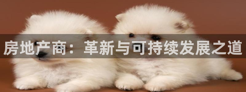 新宝5注册首页：房地产商：革新与可持续发展之道