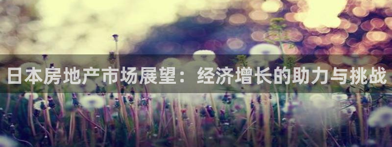 新宝5注册测速登录：日本房地产市场展望：经济增长的助力与挑战
