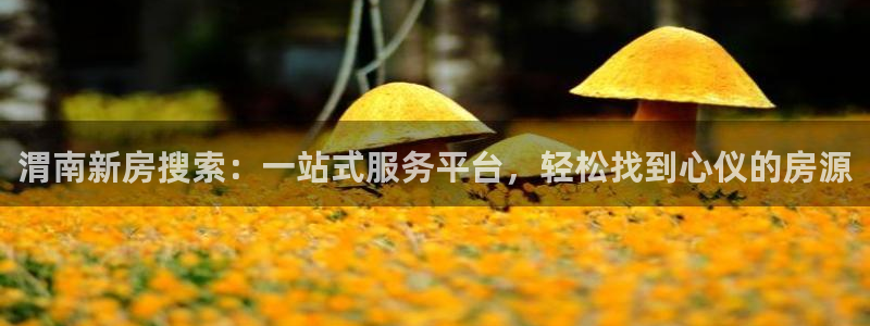 新宝5飞355051：渭南新房搜索：一站式服务平台，轻松找到