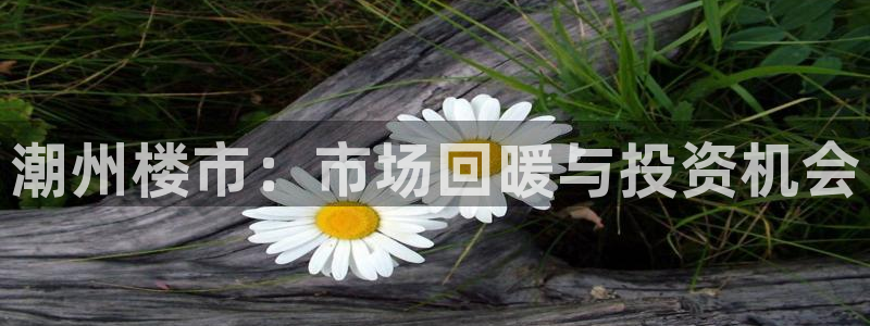 新宝5软件下载：潮州楼市：市场回暖与投资机会