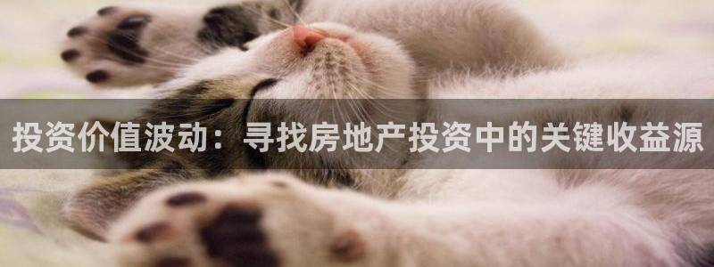 新宝5黑：投资价值波动：寻找房地产投资中的关键收益源