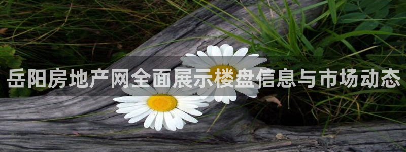 新宝5褚74OOO5：岳阳房地产网全面展示楼盘信息与市场动态
