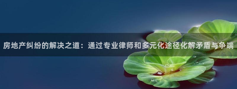 新宝5测试：房地产纠纷的解决之道：通过专业律师和多元化途径化