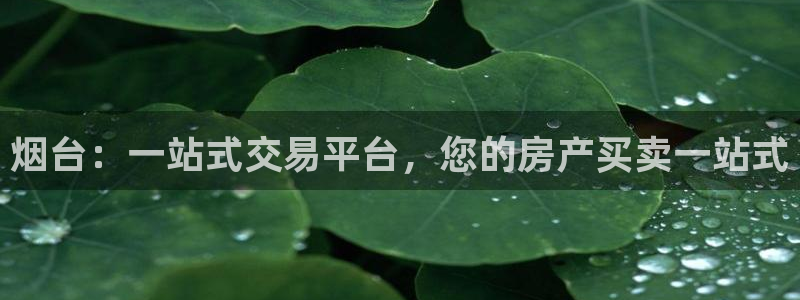 新宝5骗术：烟台：一站式交易平台，您的房产买卖一站式