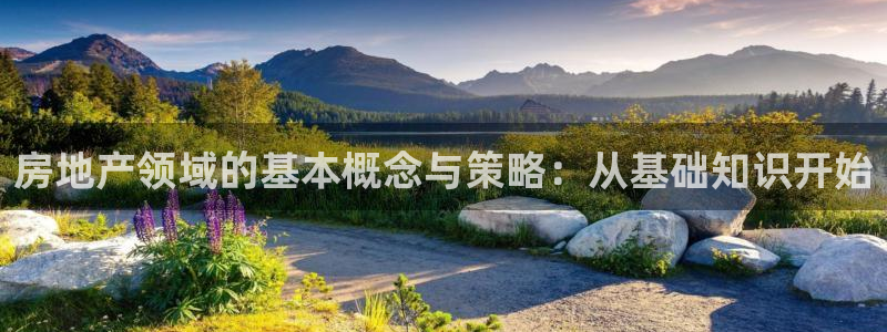新宝5下载网址：房地产领域的基本概念与策略：从基础知识开始