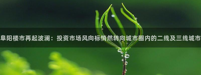 新宝5可靠吗：阜阳楼市再起波澜：投资市场风向标悄然转向城市圈
