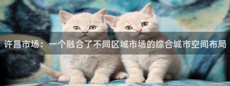 新宝速5：许昌市场：一个融合了不同区域市场的综合城市空间布局