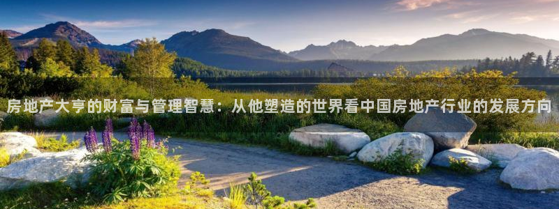 新宝5测登录：房地产大亨的财富与管理智慧：从他塑造的世界看中