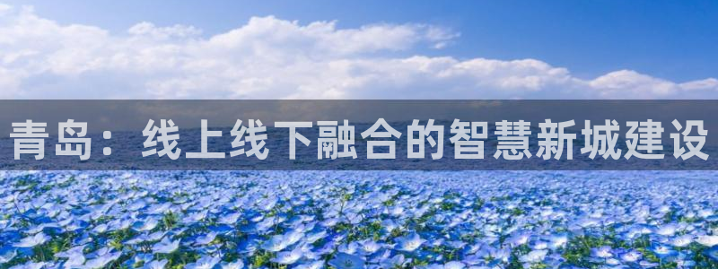新宝5吕74OOO5：青岛：线上线下融合的智慧新城建设