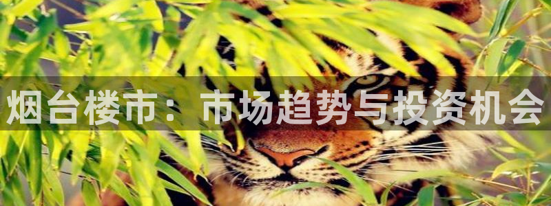 新宝5测速在线：烟台楼市：市场趋势与投资机会
