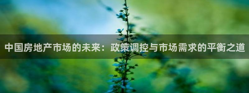 老新宝5授权登录：中国房地产市场的未来：政策调控与市场需求的
