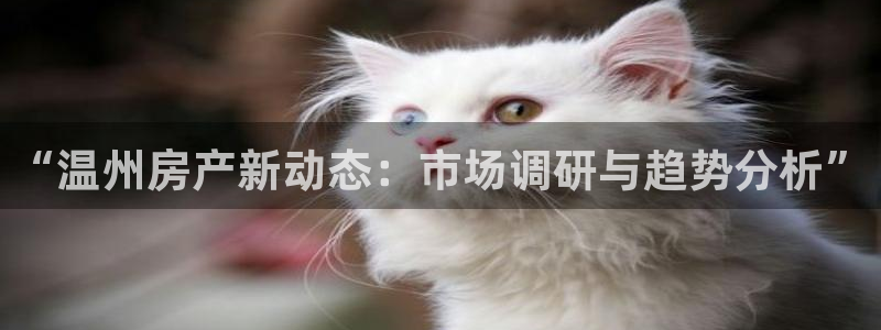 新宝5官方下载地址