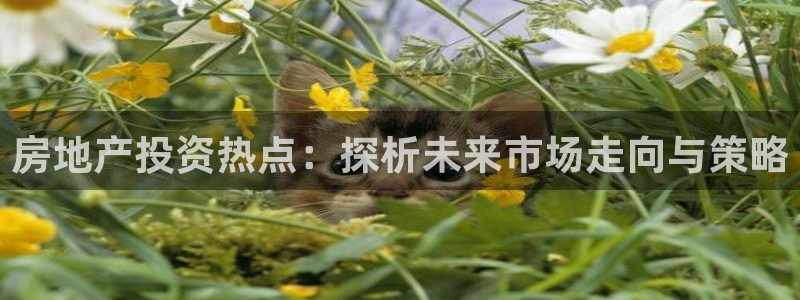 新宝5链接：房地产投资热点：探析未来市场走向与策略