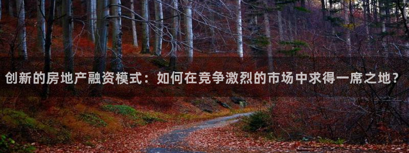新宝5d：创新的房地产融资模式：如何在竞争激烈的市场中求得一