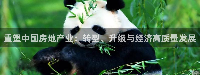 新宝5娱乐网址：重塑中国房地产业：转型、升级与经济高质量发展