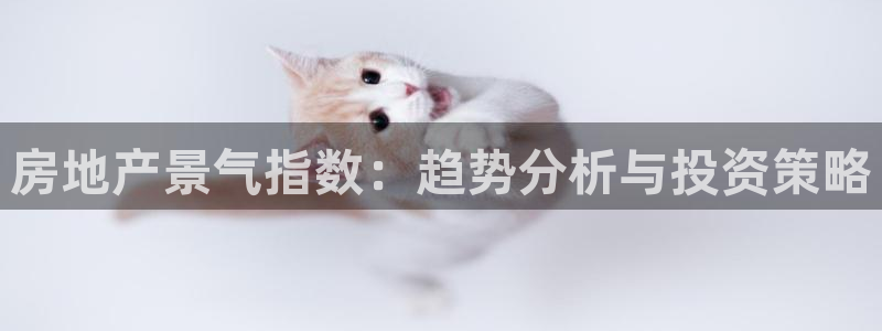 新宝5官网67五壹叁八：房地产景气指数：趋势分析与投资策略