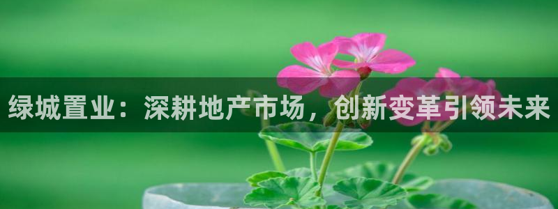 新宝5什么时候上市：绿城置业：深耕地产市场，创新变革引领未来