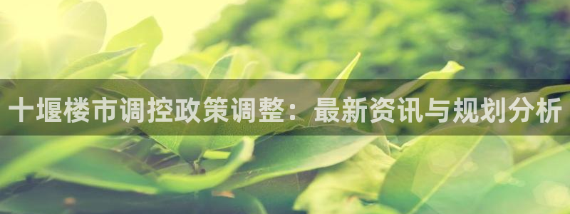 新宝5登录测速中心：十堰楼市调控政策调整：最新资讯与规划分析