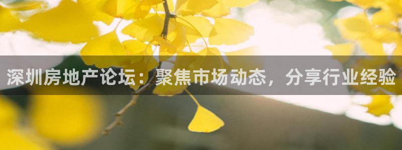 新宝h2O5O5O：深圳房地产论坛：聚焦市场动态，分享行业经