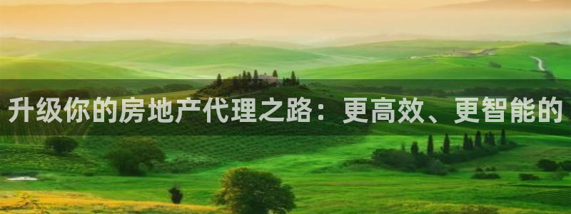 新宝5 888：升级你的房地产代理之路：更高效、更智能的
