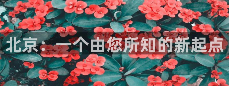 新宝5挂机软件：北京：一个由您所知的新起点